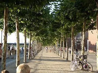 Hotel Am Ehrenhof Dusseldorf